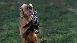 Фильм Неприятности с обезьянкой смотреть онлайн