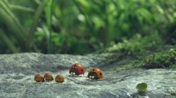 Фильм Букашки. Приключение в Долине муравьев смотреть онлайн