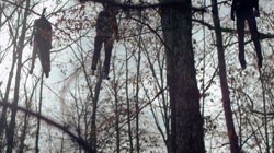 Фильм Домик на дереве смотреть онлайн